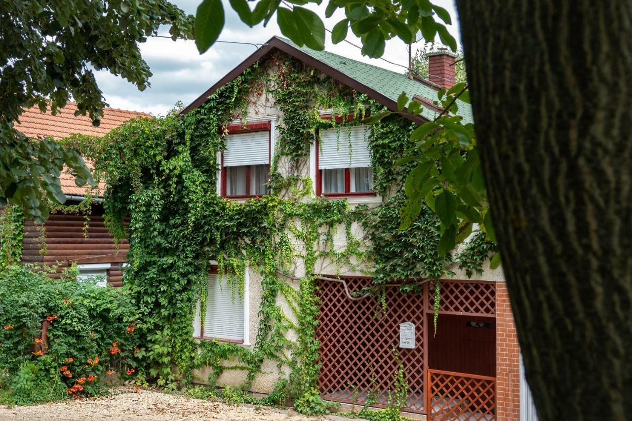 Vadszolo Apartmanhaz Gyomaendrőd Εξωτερικό φωτογραφία